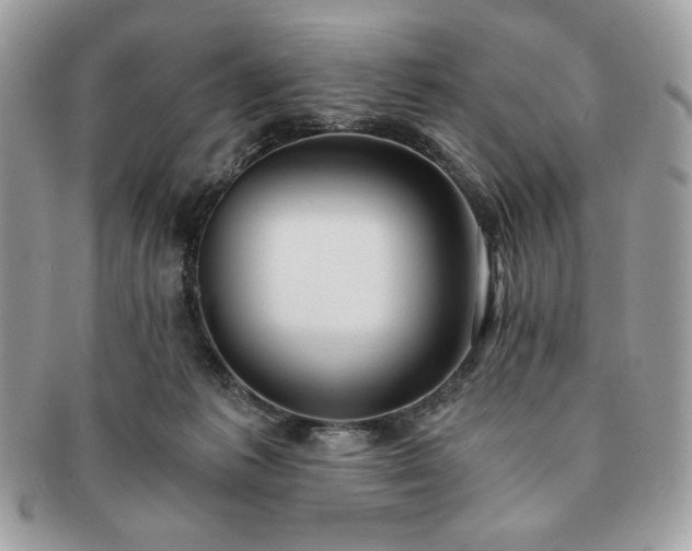 X0000091200221200708161621