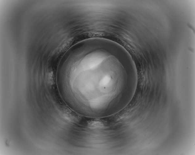 X0000091200224200708161621