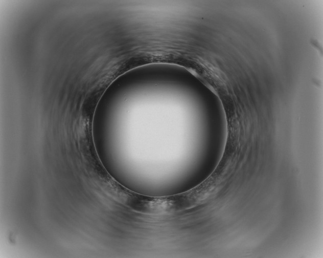 X0000091200225200708161621