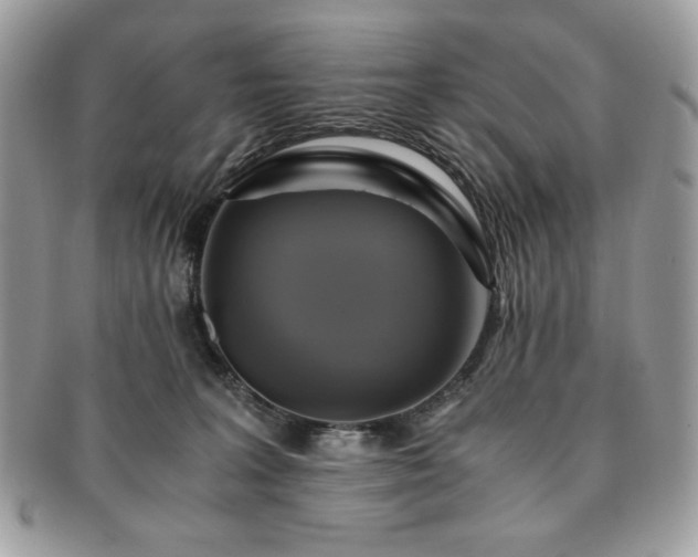 X0000091200227200708161621