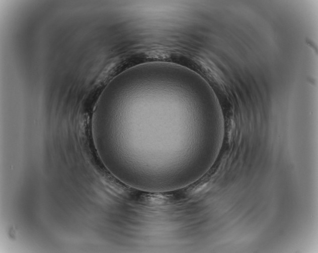 X0000091200229200708161621