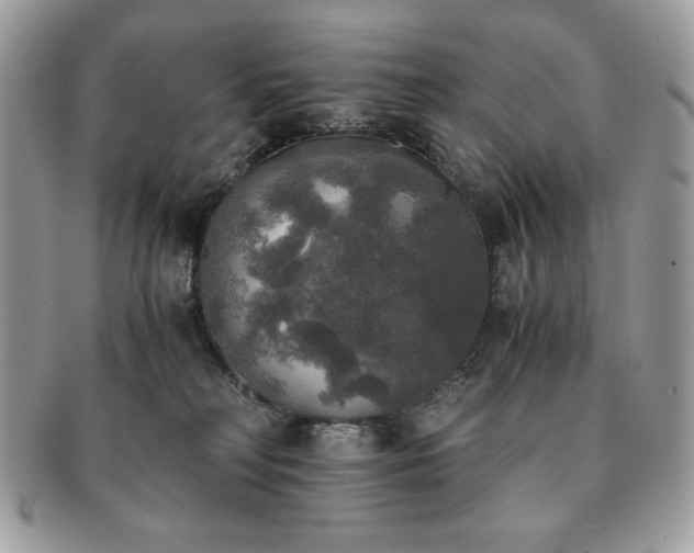 X0000091200230200708161621