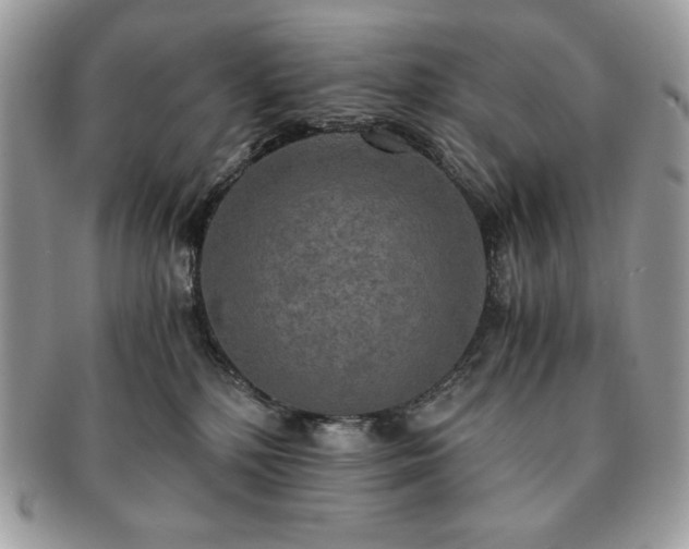 X0000091200232200708161621