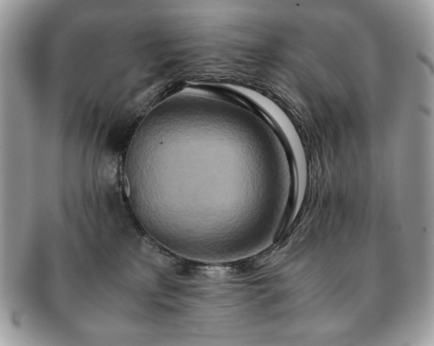 X0000091200233200708161621