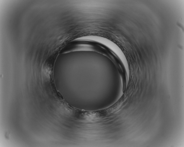 X0000091200235200708161621