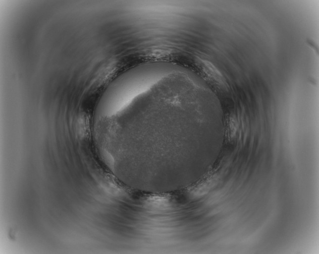 X0000091200236200708161621