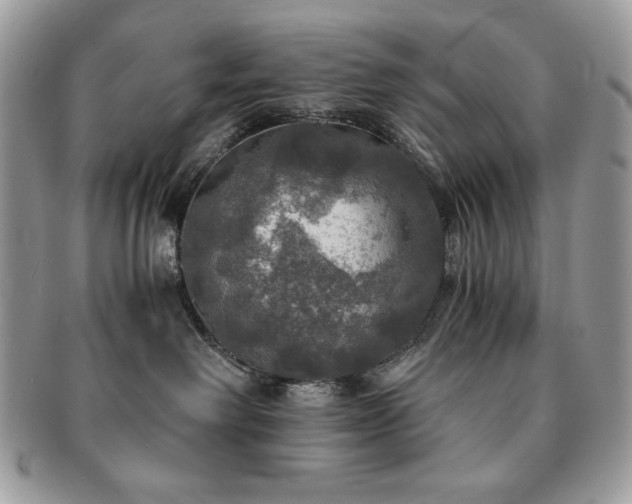 X0000091200238200708161621