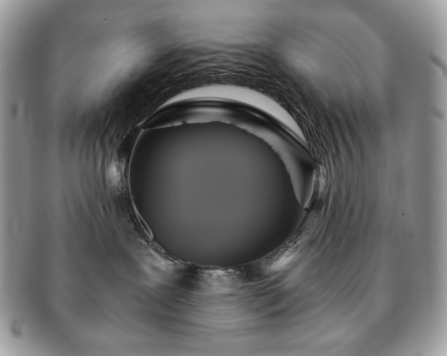 X0000091200239200708161621