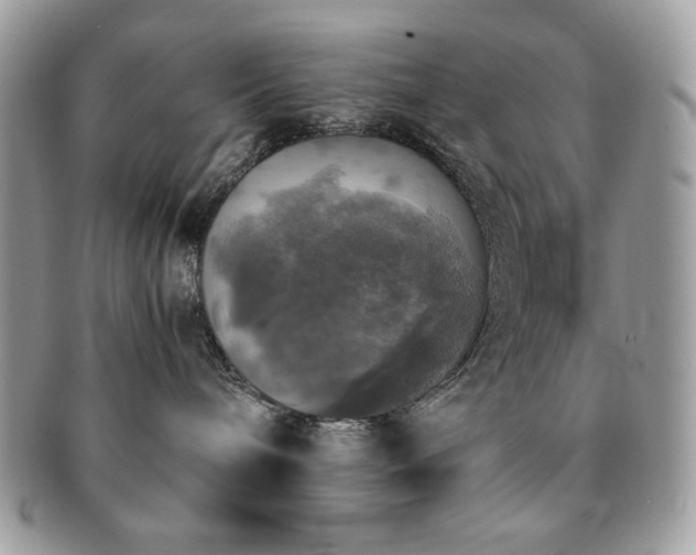 X0000091200240200708161621