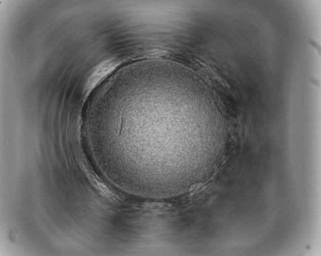 X0000091200242200708161620
