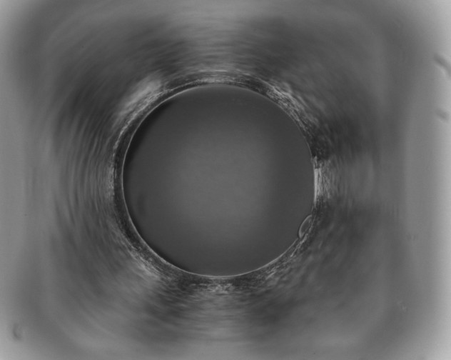 X0000091200243200708161620