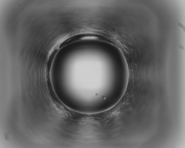X0000091200244200708161620