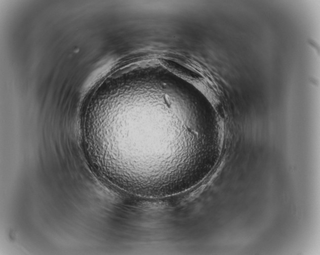 X0000091200245200708161620