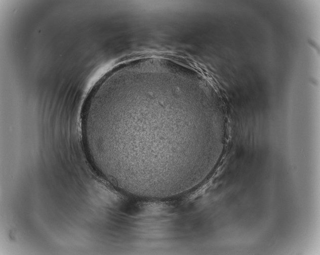 X0000091200246200708161620