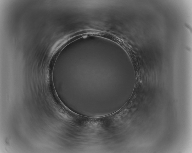 X0000091200247200708161620