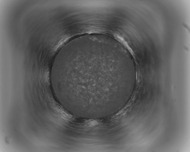 X0000091200249200708161620