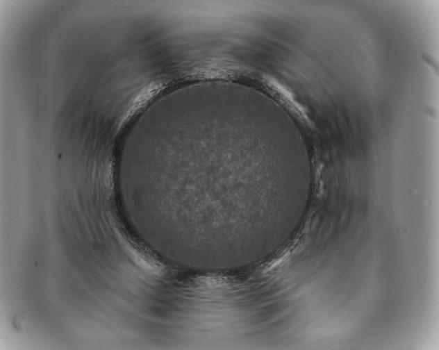 X0000091200250200708161620