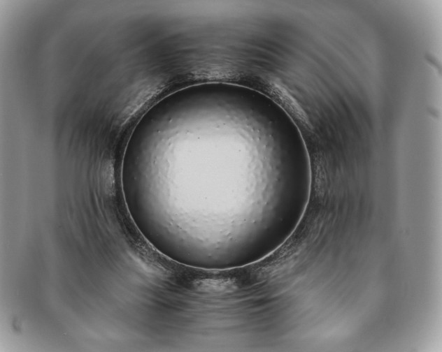 X0000091200251200708161621