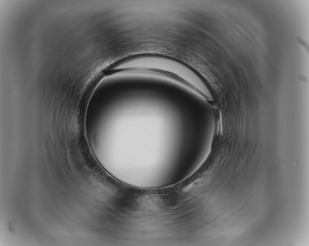 X0000091200252200708161621
