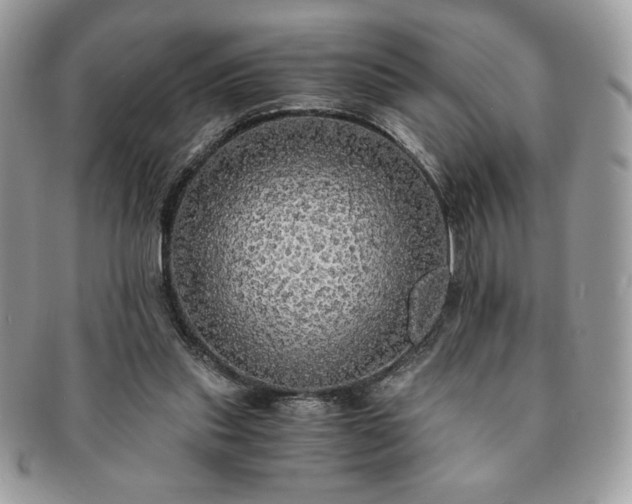 X0000091200253200708161621