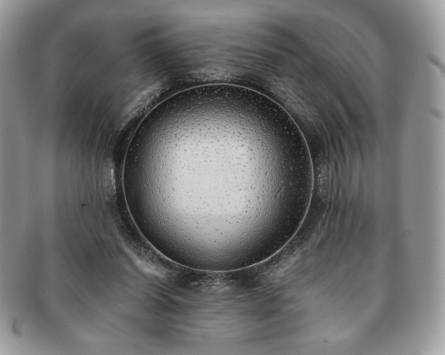 X0000091200254200708161621