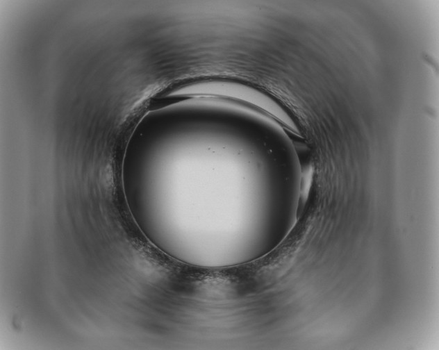 X0000091200256200708161621