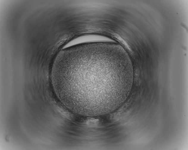 X0000091200257200708161621