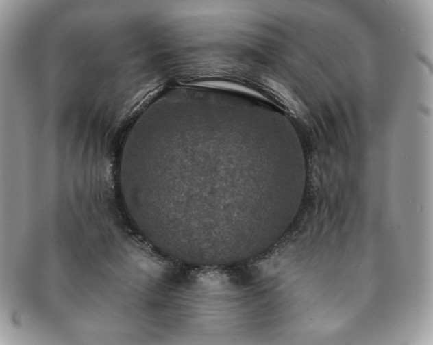 X0000091200258200708161621