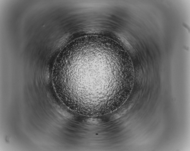X0000091200261200708161621