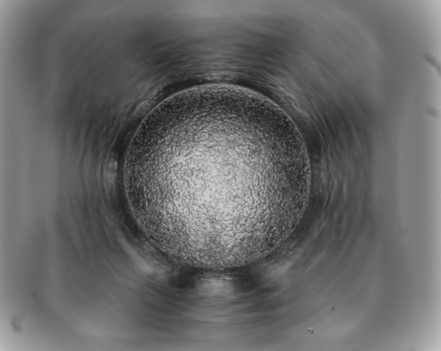 X0000091200263200708161621