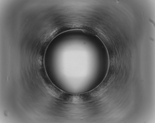 X0000091200264200708161621