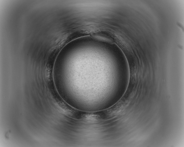 X0000091200268200708161621