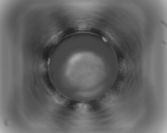 X0000091200272200708161621