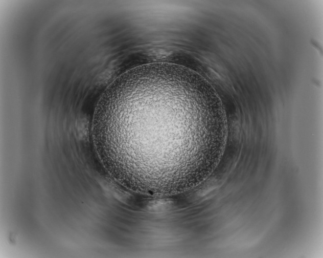 X0000091200274200708161621