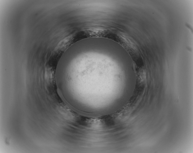 X0000091200276200708161621