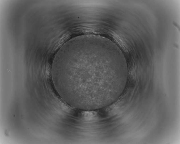X0000091200277200708161621