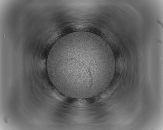 X0000091200278200708161621