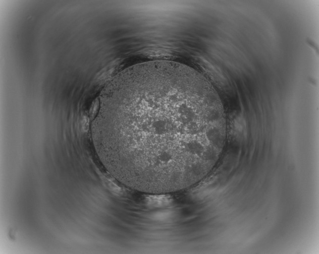 X0000091200281200708161621