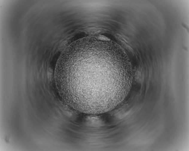 X0000091200283200708161621