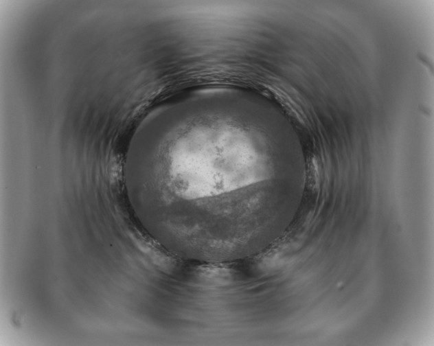 X0000091200284200708161621