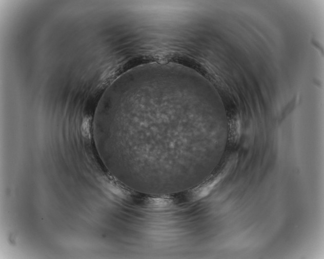 X0000091200286200708161621