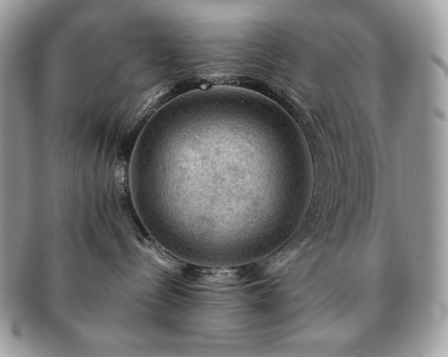 X0000091200288200708161621