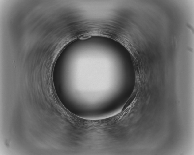 X0000091200289200708161620