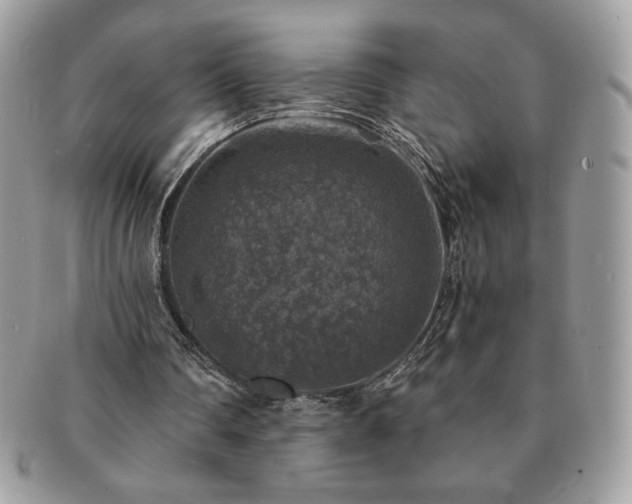 X0000091200290200708161620