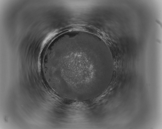 X0000091200294200708161620