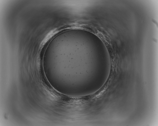 X0000091200295200708161620