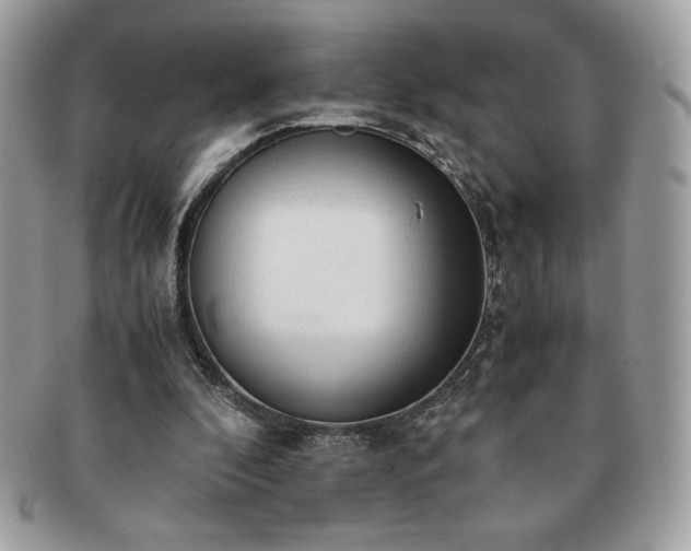 X0000091200296200708161620