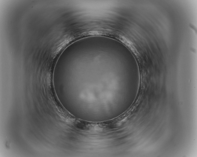 X0000091200297200708161620