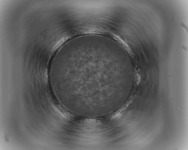 X0000091200298200708161620
