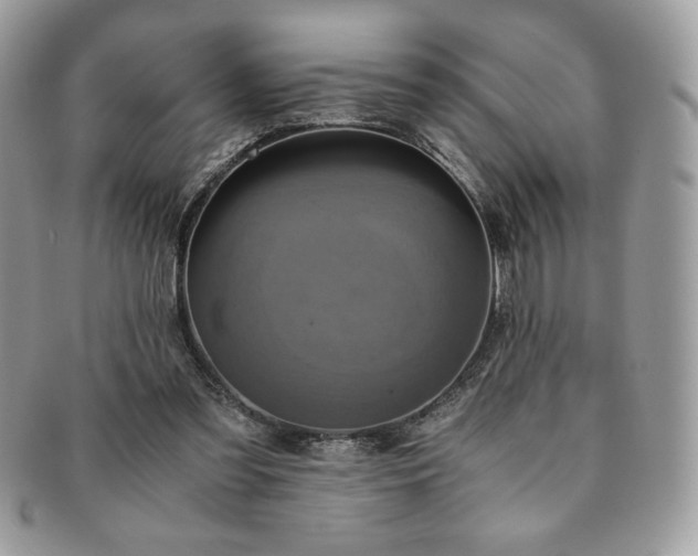 X0000091200301200708161620